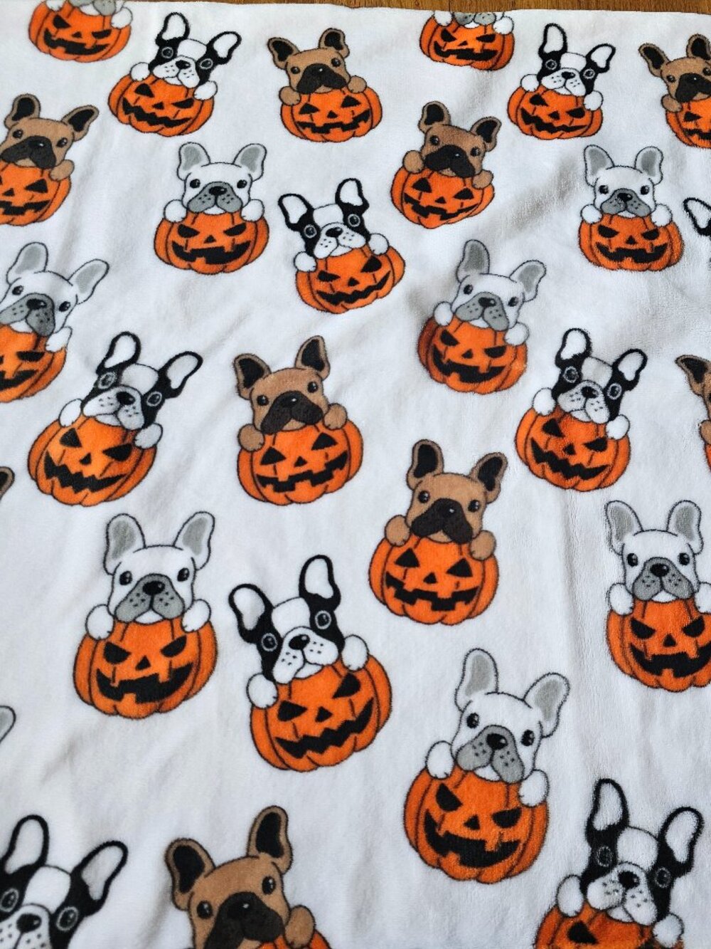 Halloween French Bulldog Plush Throw Blanket